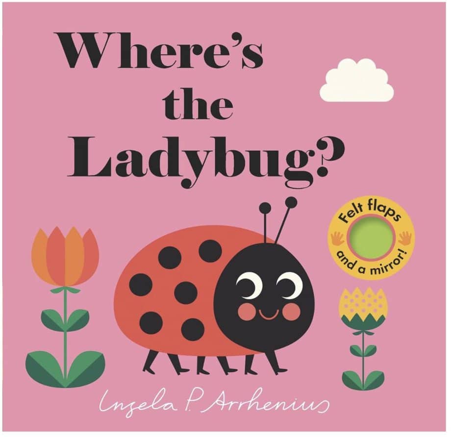 Books about ladybugs for preschoolers 